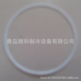 氨泵密封圈
